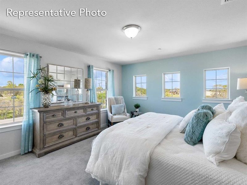 Bedroom featuring multiple windows and carpet flooring