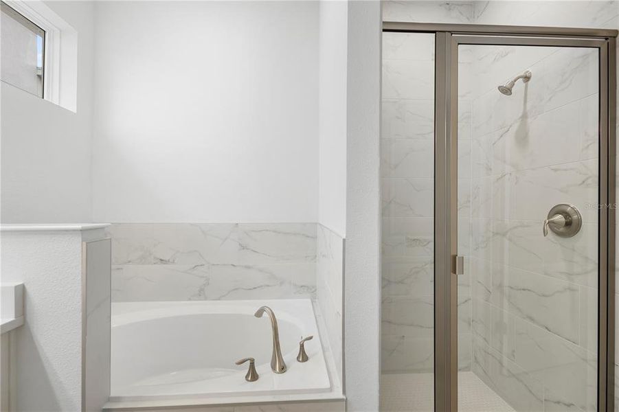Primary Tub with Separate Shower