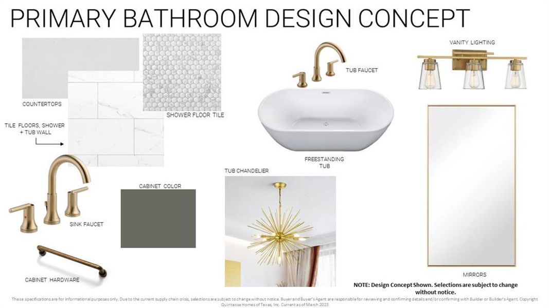 Primary Bath Design Concept