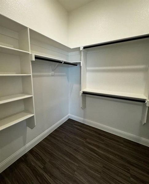 Spacious closet featuring dark wood-type flooring