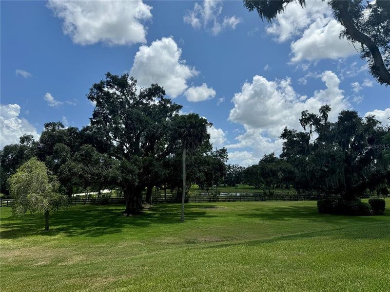 Manatee River Access Point