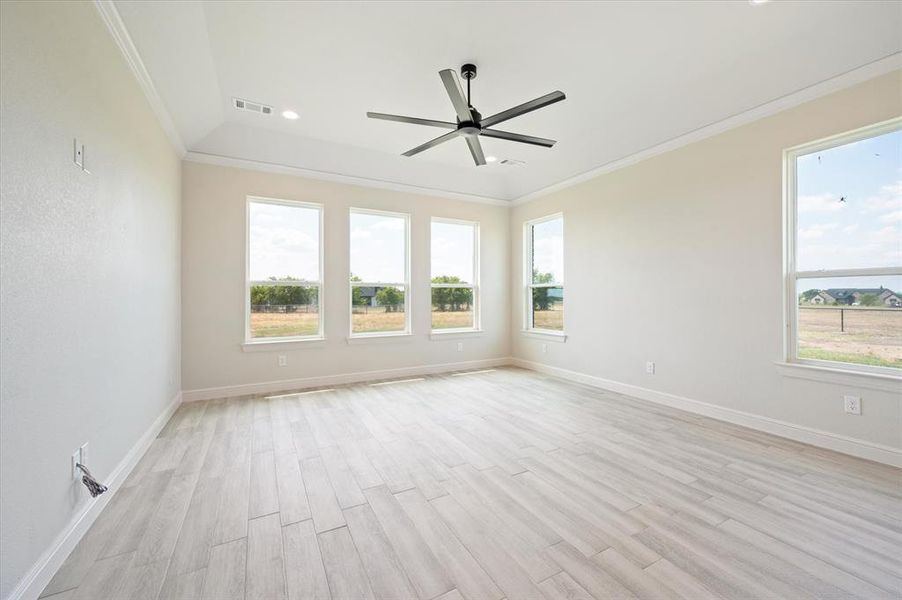 Unfurnished room featuring light hardwood / wood-style floors, ceiling fan, and crown molding