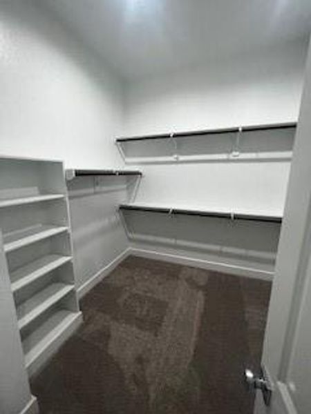 Primary closet with built-in shelving for extra storage