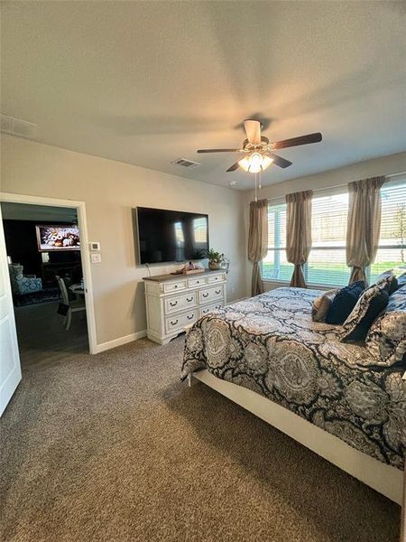 Carpeted bedroom with ceiling fan, a textured ceiling, and multiple windows