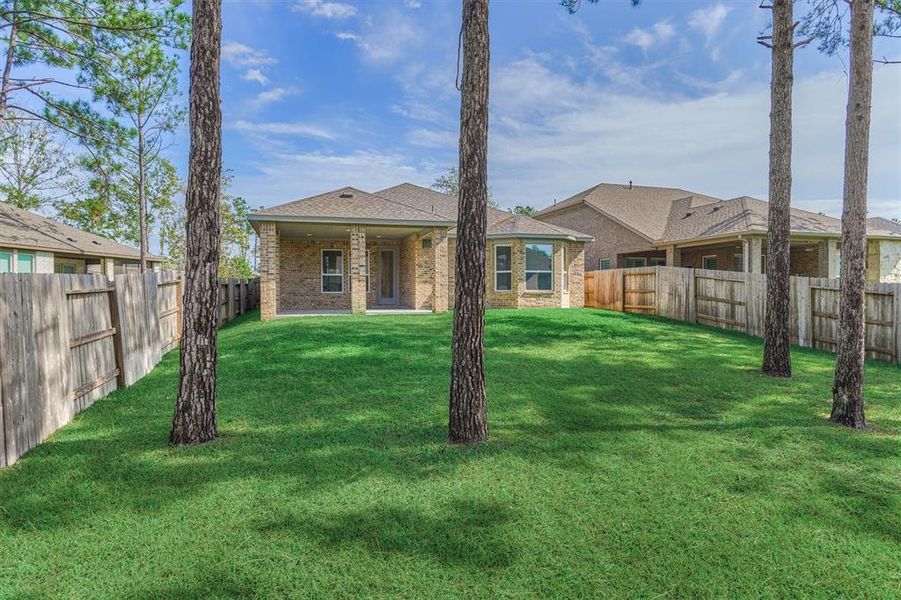 Stretch a hammock between these trees and soak up the calming nature of this back yard!