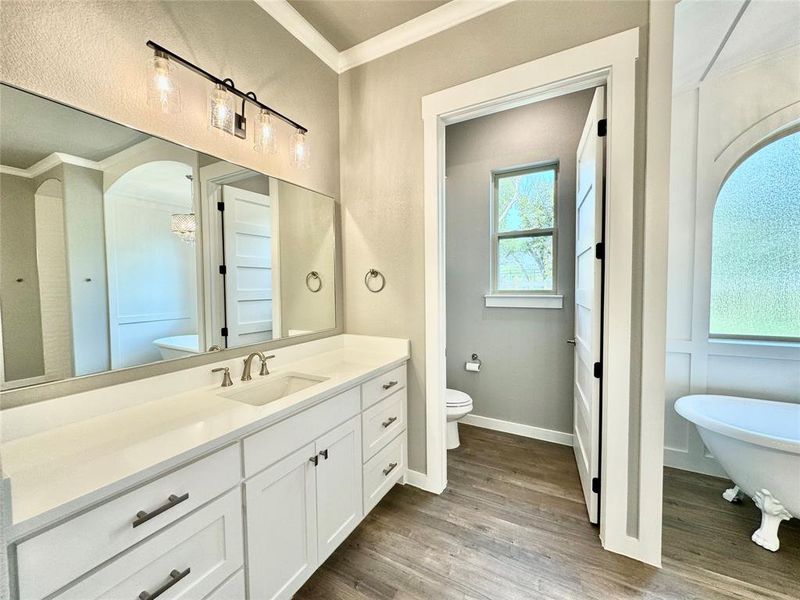 Primary Bathroom featuring vanity, toilet, ornamental molding, hardwood / wood-style flooring, and a washtub