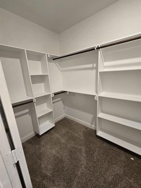 Spacious closet featuring dark carpet