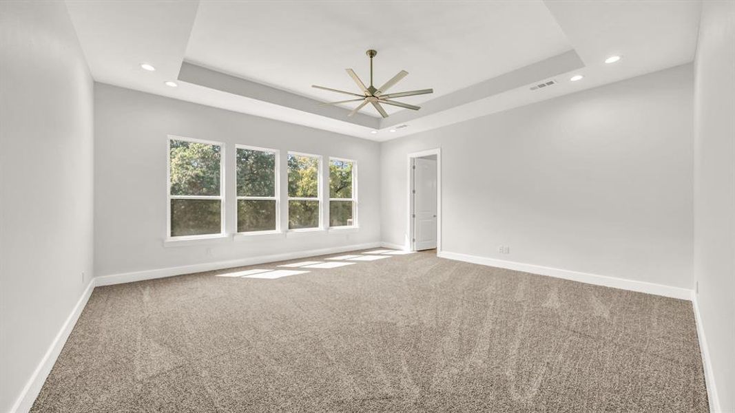 Carpeted spare room with a raised ceiling and ceiling fan