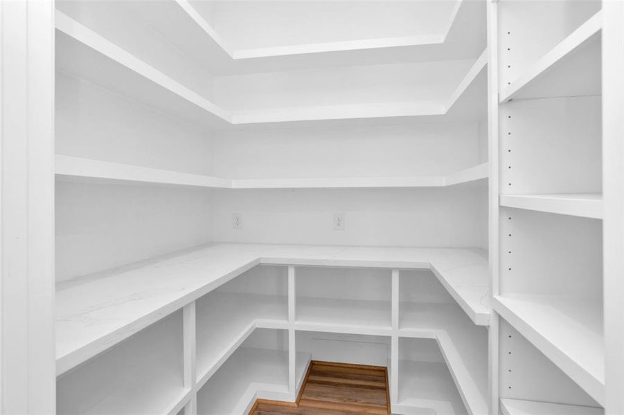 Enormous walk-in pantry will be useful for storage!