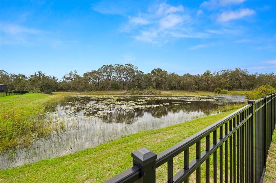 Pond Views