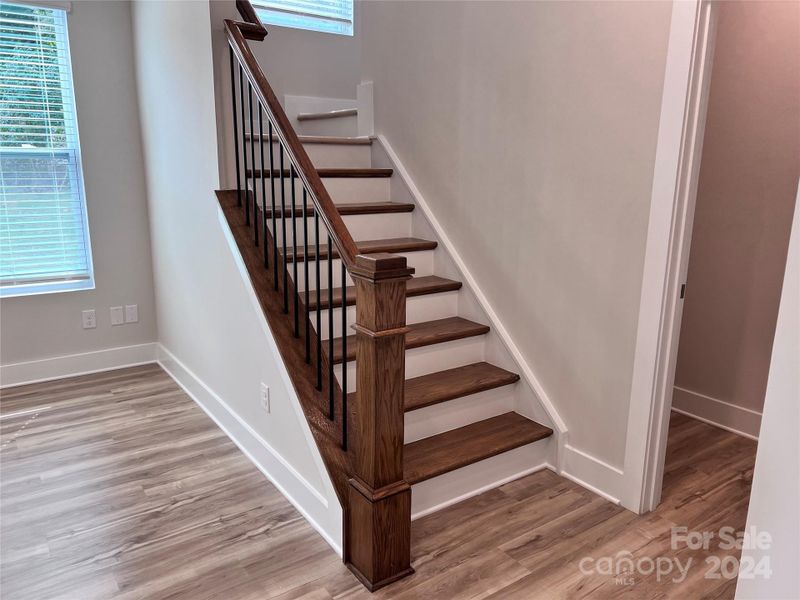 Stained Stairs