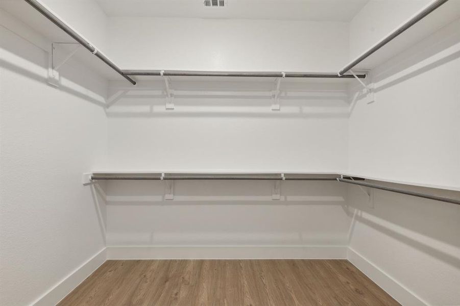 Spacious closet featuring wood-type flooring