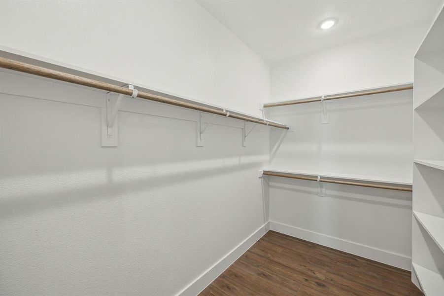 Walk in closet featuring dark hardwood / wood-style flooring