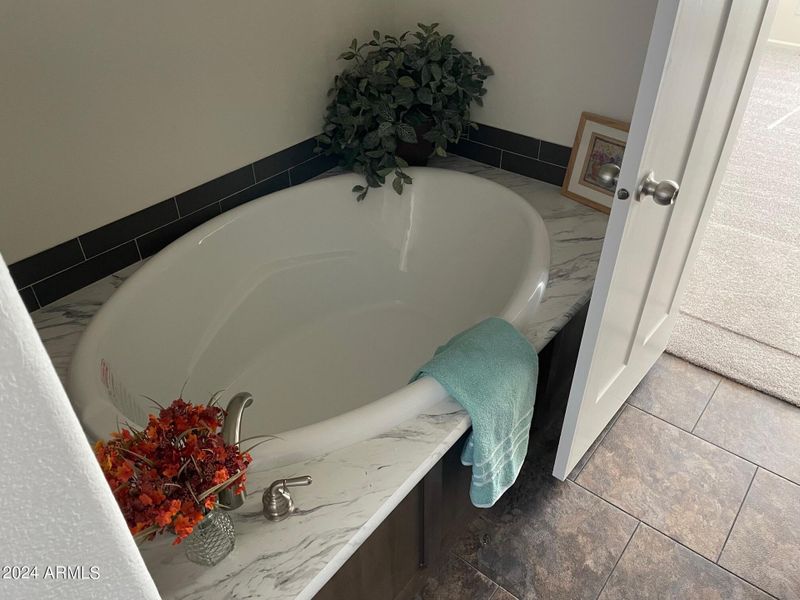 Master bath tub