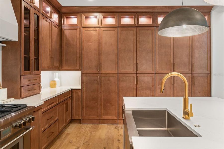 Kitchen Concealed Pantry Wall