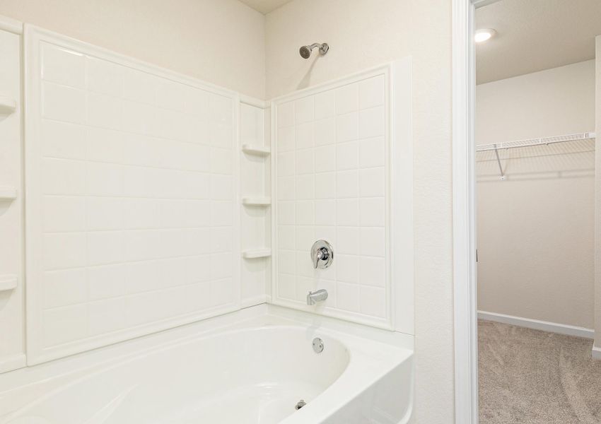 The master bathroom comes with a separate shower and bathtub