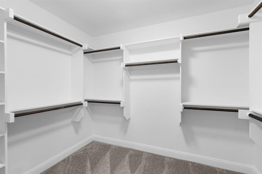 Walk in closet featuring carpet