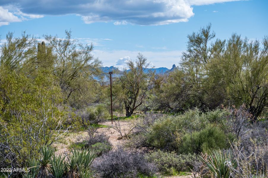 Lot 120 at 8627 E Whisper Rock Trl-7895