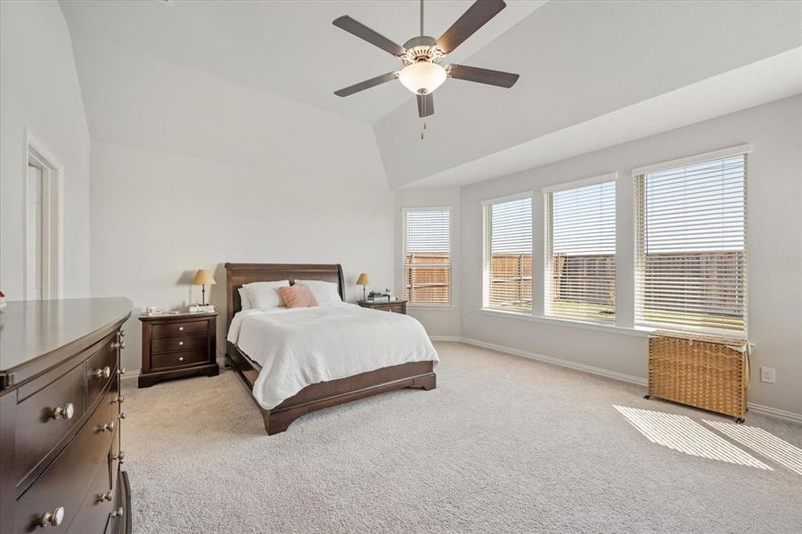 Primary bedroom featuring ceiling fan, lofted ceiling, and beautiful carpet