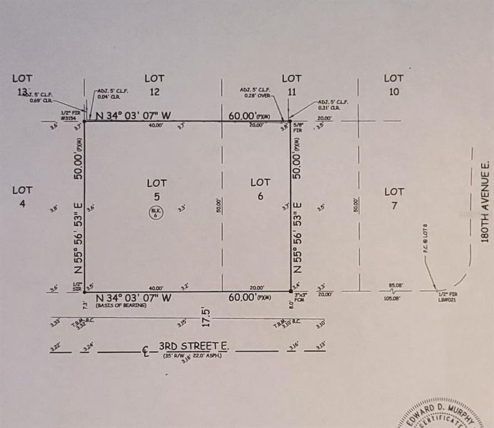 Survey and Elevation