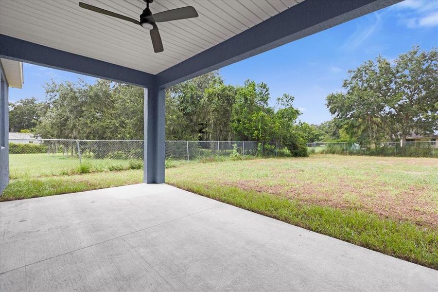 Back porch and backyard