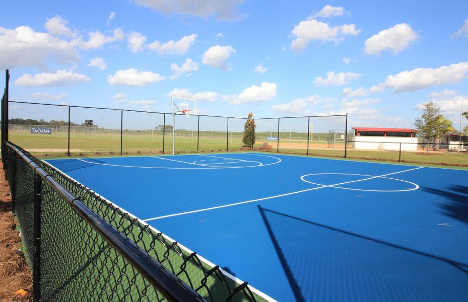 Basketball Court