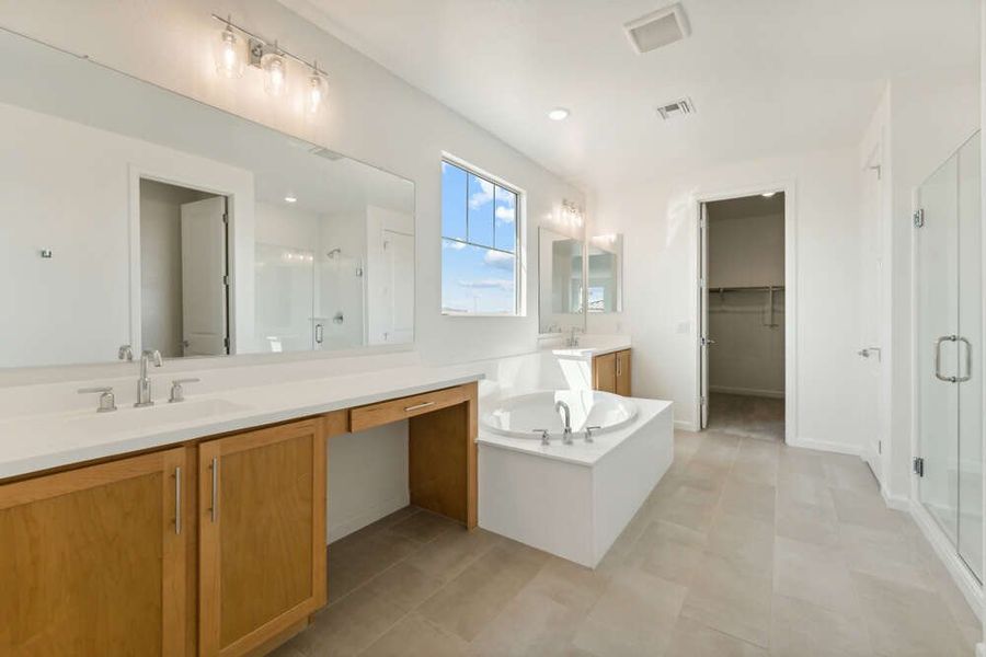 Primary Suite Bathroom