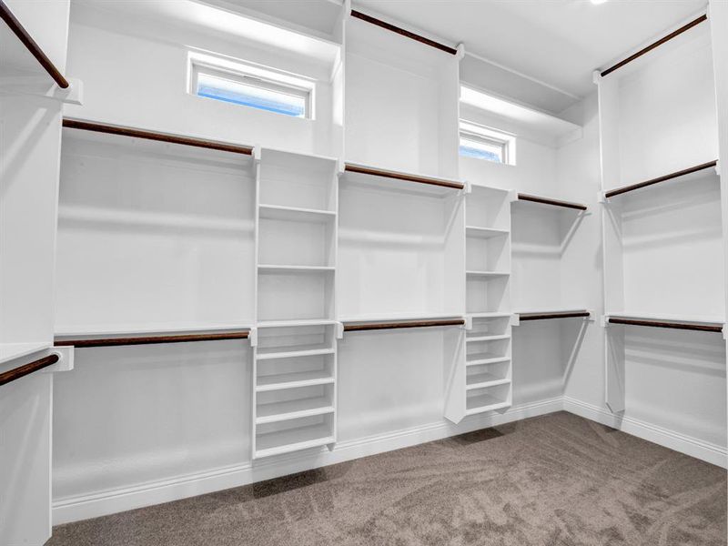 Spacious closet with carpet flooring