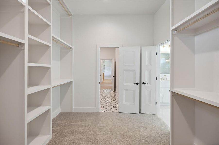 Walk in closet featuring light colored carpet and sink