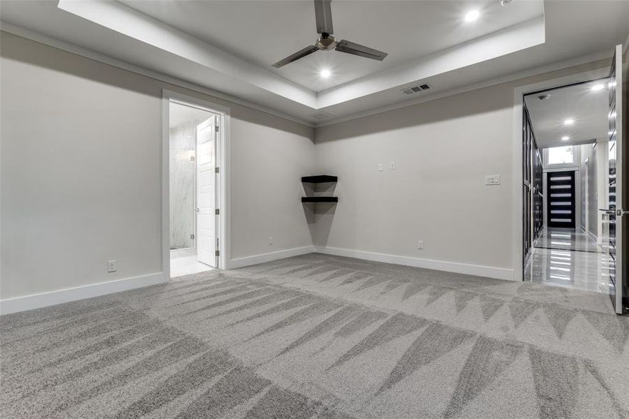 Empty room with a tray ceiling and carpet floors