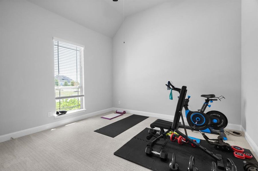 4th Bedroom used as Workout area featuring a wealth of natural light, vaulted ceiling, and carpet flooring