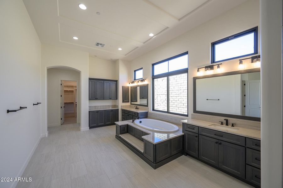 Gorgeous Master Bath