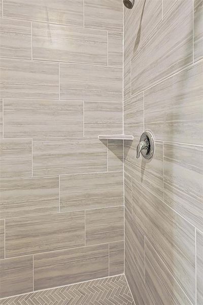 Interior details with tiled shower