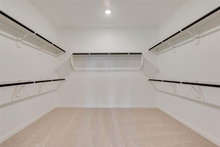 Walk in closet featuring carpet flooring