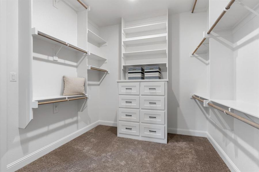 Spacious closet featuring dark carpet