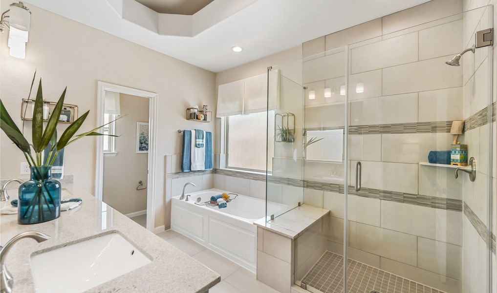 Owner's bath with tub and shower