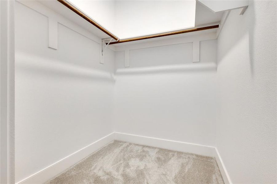 Spacious closet featuring carpet flooring