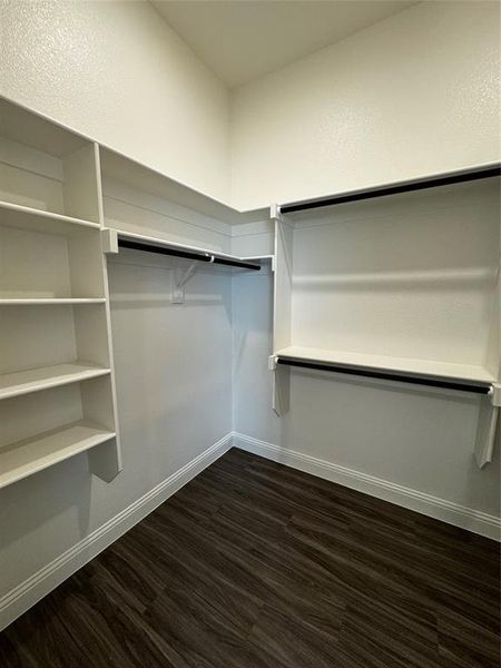 Walk in closet featuring dark hardwood / wood-style floors