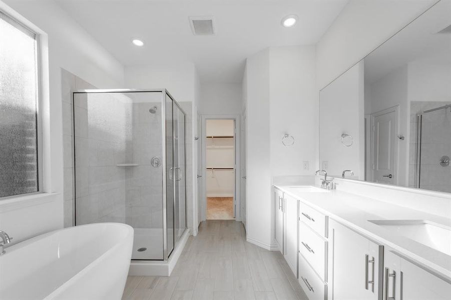 Bathroom with vanity and shower with separate bathtub