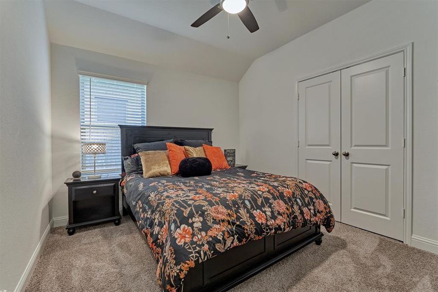 Secondary bedroom with ceiling fan, plush carpet and walk in closet