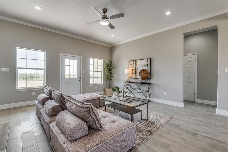 Family room with ceiling fan, crown molding, a wealth of natural light, and light hardwood / wood-style flooring