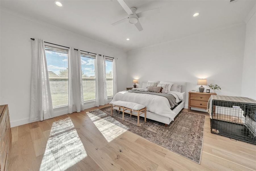 Primary Bedroom with ceiling fan, ornamental molding, and light wood-type flooring