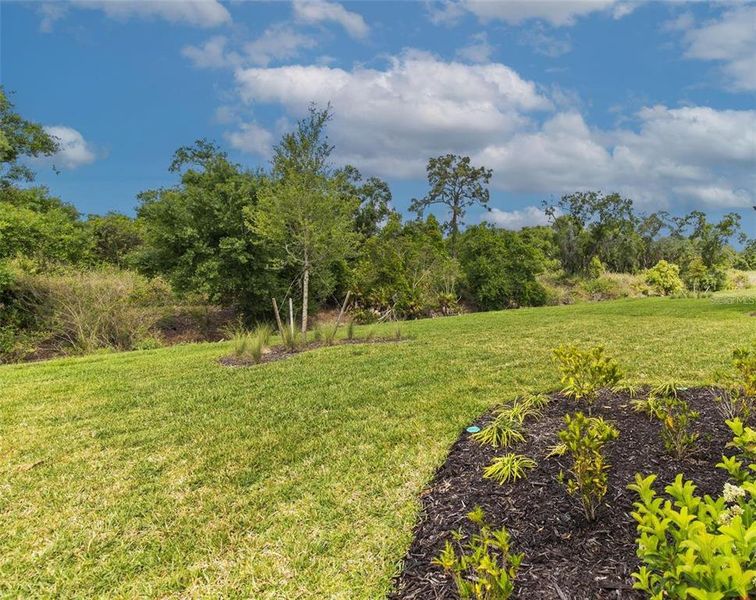 The backyard is very private and there is plenty of room for a pool.