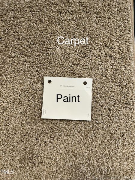 BS44 Carpet and Paint