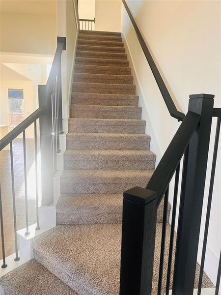 Stairs featuring a wealth of natural light