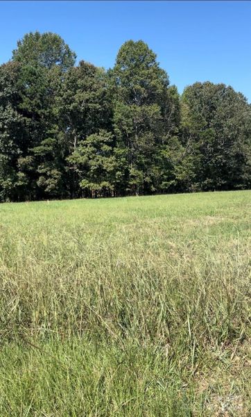 Large Homesite backs to trees