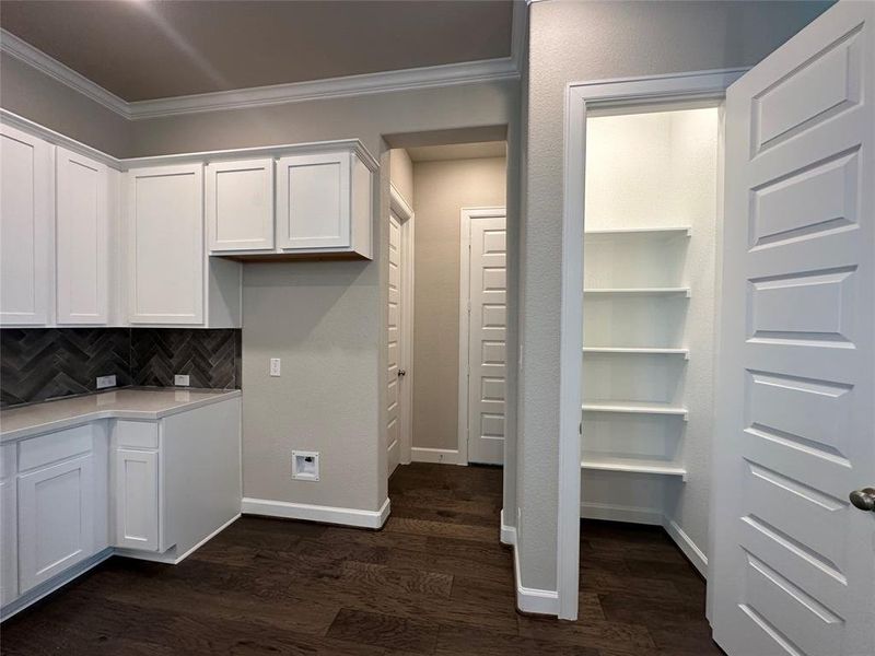 Kitchen pantry