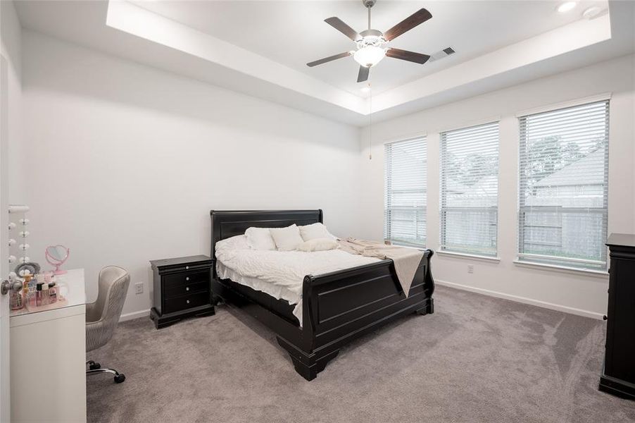 Masterful retreat! This spacious primary bedroom features soaring tray ceilings, creating a sense of grandeur and tranquility. Ideal for relaxation.