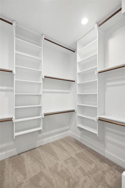 Spacious closet featuring carpet flooring