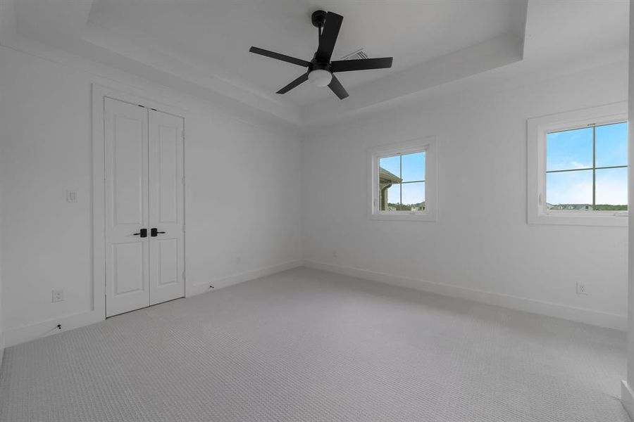 Carpeted empty room featuring a healthy amount of sunlight, a raised ceiling, and ceiling fan